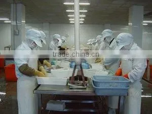 Shishi Zhengyuan Aquatic Product Science & Technology Development Co., Ltd. company overview - view 3 thumbnail