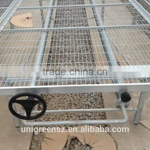 Horticultural Greenhouse Seedbed Seed Bench for Roses thumbnail-1
