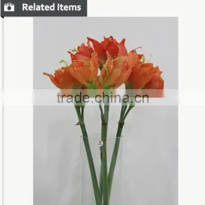 Cheap Wholesale Large Amaryllis for Halloween Arrangement thumbnail-6