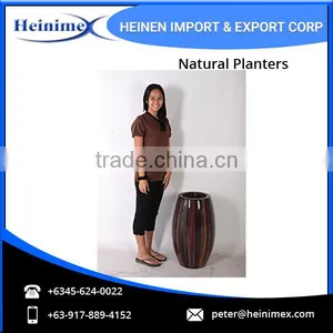 Perfect Finish Natural Planter for Sale thumbnail-2