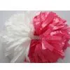 Poms(3) thumbnail-1