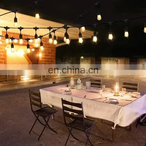 Waterproof S14 LED String Bulbs for Holiday Garden Christmas Use Outdoor Edison Bulb String Light Filament String Light 48ft thumbnail-6
