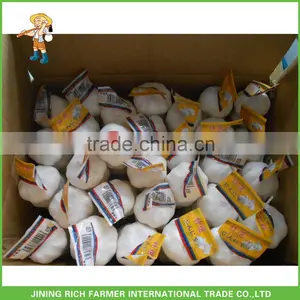 Hot Supplying Cold Storage Fresh Nature Garlic From China thumbnail-1