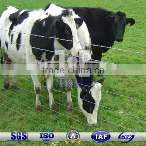 Hot-dipped Galvanized Cattle Fence Factory Price thumbnail-1