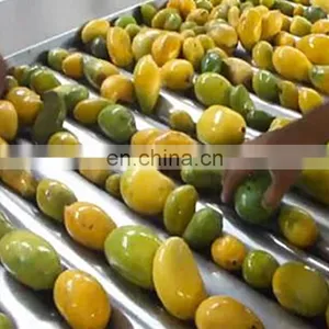 Fruit Processing and Grading Machines Mangoes Puree Processing Line thumbnail-2