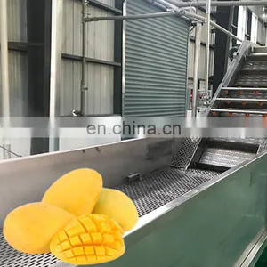 Fruit Processing and Grading Machines Mangoes Puree Processing Line thumbnail-5
