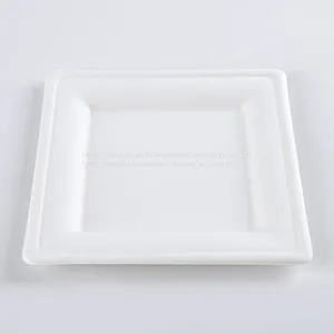 Disposable Biodegradable 10INCH Square Plate Take Away Sugarcane thumbnail-1