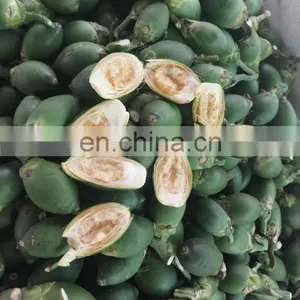 Vietnam High Quality Fresh Areca Nut/Betel Nuts thumbnail-2