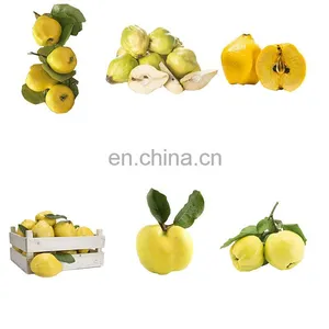Competitive Price and High Quality Quinces Corer On Sale thumbnail-4