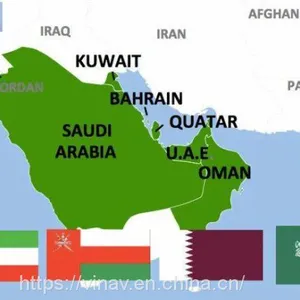 Middle East|UAE|Saudi Arabia Air Cargo Door to Door Service thumbnail-3