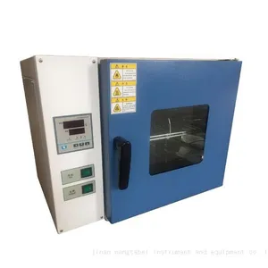 High Precision Electric Drying Oven for Material and Component Testing thumbnail-1