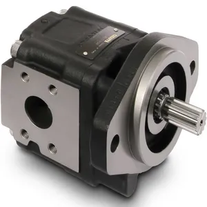 Gear Pump thumbnail-1