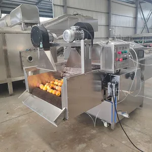 Industrial Fruit Filtering Food Industry Fruit & Vegetable Processing Line thumbnail-4
