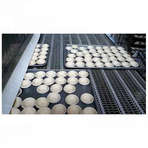 Shanghai Quality Industrial Fast Freezing Machine/iqf Quick Freezing Machine/quick Tunnel Food Cryogenic Blast Freezer thumbnail-3