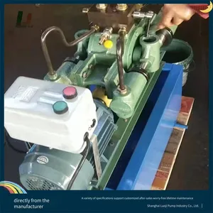 Pressure Holding Time of Plunger High-pressure Reciprocating Pump, 4gsy High-flow Pressure Test Pump, Luoji Pump Industry thumbnail-4