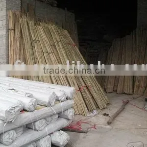 Bamboo Pole thumbnail-1