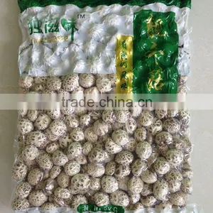 Dried Tea Flower Mushrooms thumbnail-5