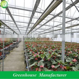 Large Garden Greenhouses thumbnail-1