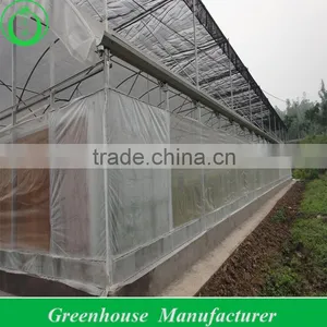 Greenhouse Net Covered Outside thumbnail-1