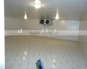 PU Sandwich Panel Fruits/vegetables Cold Room Storage thumbnail-4