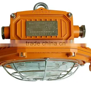 Explosion Proof LED Industrial Light for Hazardous Environments thumbnail-1