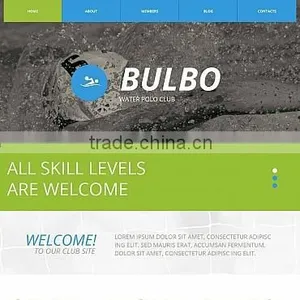 Website Design & Development thumbnail-3
