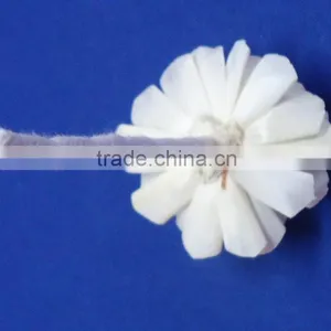 Flower for Decoration thumbnail-4