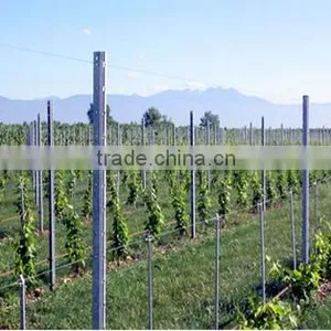 Galvanized Metal Vineyard Trellis Stakes thumbnail-1