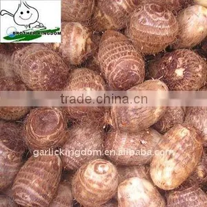 Chinese Fresh Taro thumbnail-1