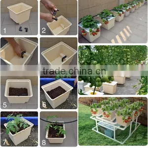 Dutch Buckets for Growing Tomatoes Hydroponic System thumbnail-6