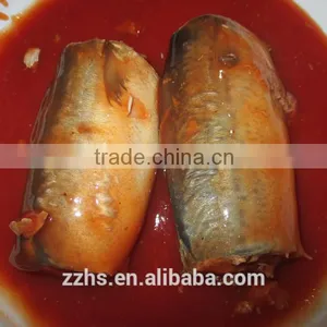 Canned Mackerel in Tomato Sauce thumbnail-4