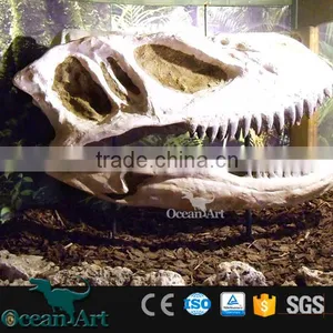 BY-DY-042101 High Quality Scientific Exhibition Life Size Dinosaur Skull thumbnail-5