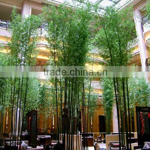 High-end Hotel Decor Plastic Palm Tree thumbnail-6