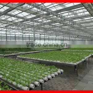 Polycarbonate Sheet Greenhouse thumbnail-1