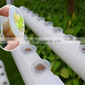 45*45mm Soilless Cultivation Out-planting Basket Hydroponic Basket Cup Hydroponics; Water Culture thumbnail-5