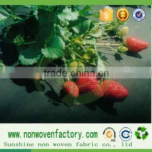 Weed Control Mat Raw Materials Import Fabric Tnt Hydrophilic pp Fabric thumbnail-6