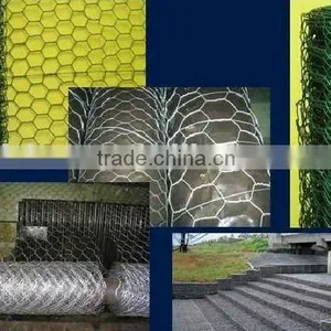 Chicken Coop Galvanized Wire Mesh thumbnail-1