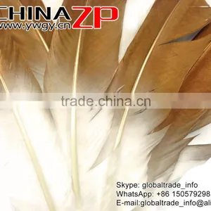 Gold Leading Supplier CHINAZP Wholesale Plume Dyed Bulk Gold Metallic Bicolourable Turkey Feathers thumbnail-4