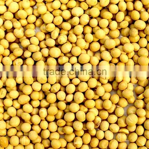 Australian Soybeans thumbnail-1