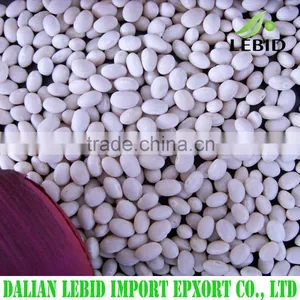 2016 Crop Small Size White Kidney Beans Navy Beans thumbnail-1