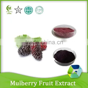 Mulberry Fruit Juice Concentrate Powder thumbnail-3