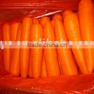 Chinese Fresh Carrot thumbnail-1