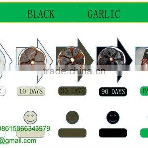 Fermented Black Garlic thumbnail-1