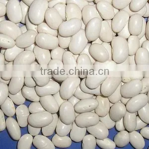 Japanese White Beans thumbnail-1