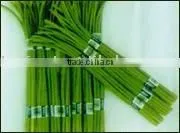 Fresh Garlic Sprout thumbnail-1