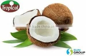 Virgin Coconut Oil for Hair thumbnail-4