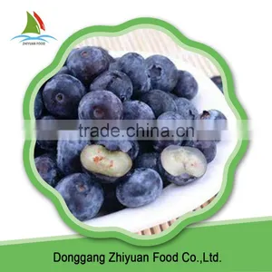 IQF Frozen Blueberry thumbnail-4