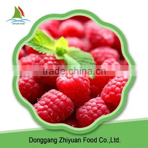China High Quality IQF Frozen Cultivated Raspberry thumbnail-2