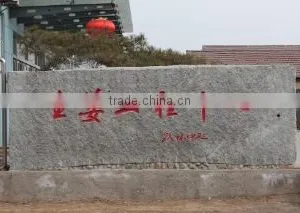 Laiwu Dunsunrise Foods Co., Ltd. company overview - view 1 thumbnail