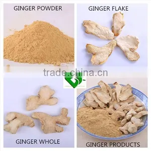 Dried Style and Sliced Shape Dried Ginger thumbnail-1